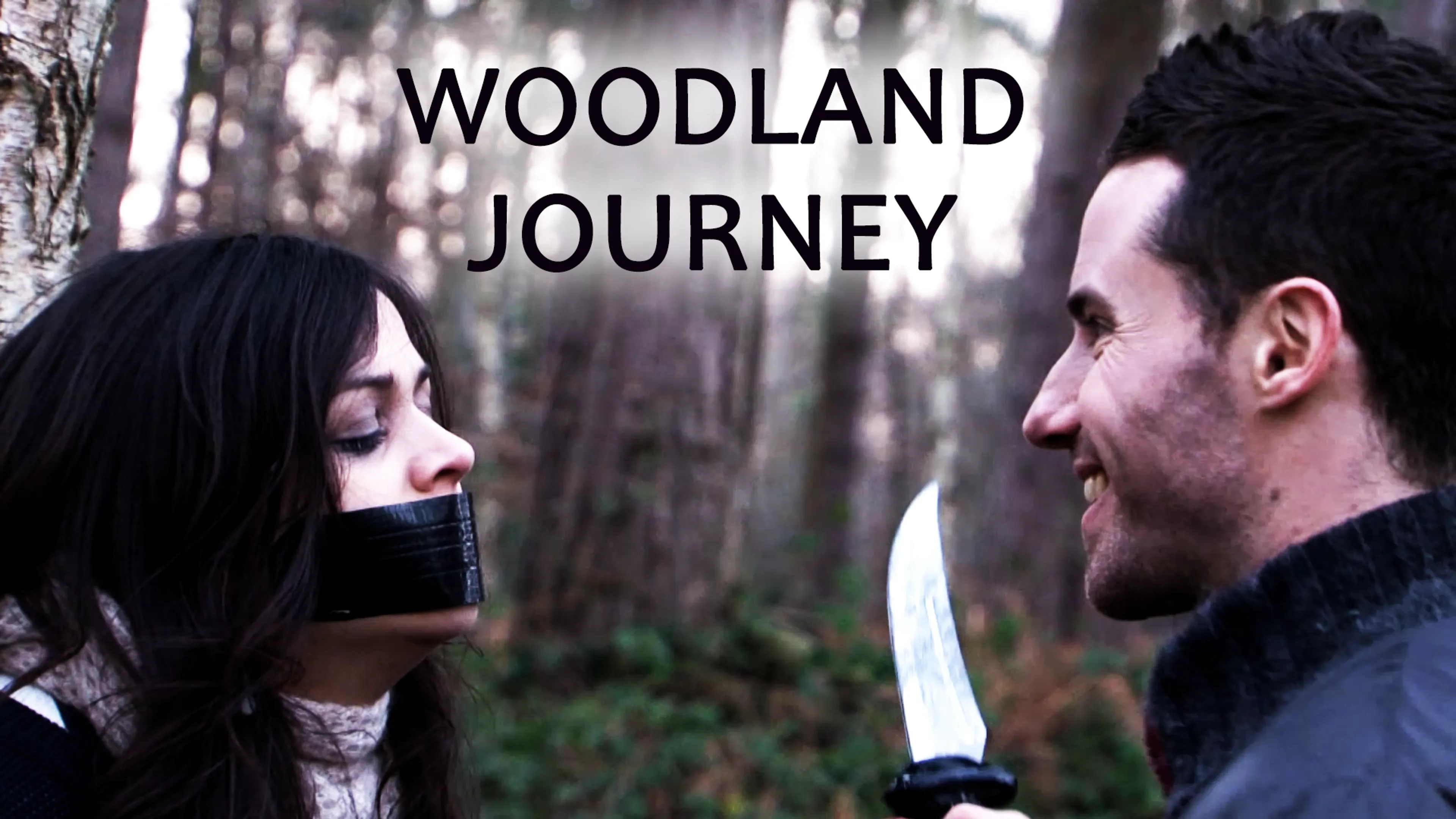 Woodland Journey poster